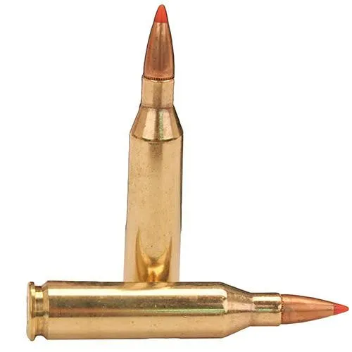 243 Winchester - 95 GR SST (Per 20)