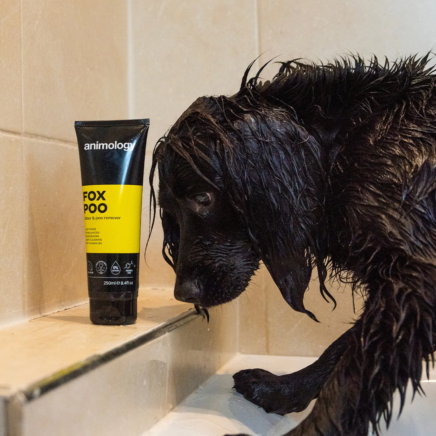 Animology Fox Poo Dog Shampoo