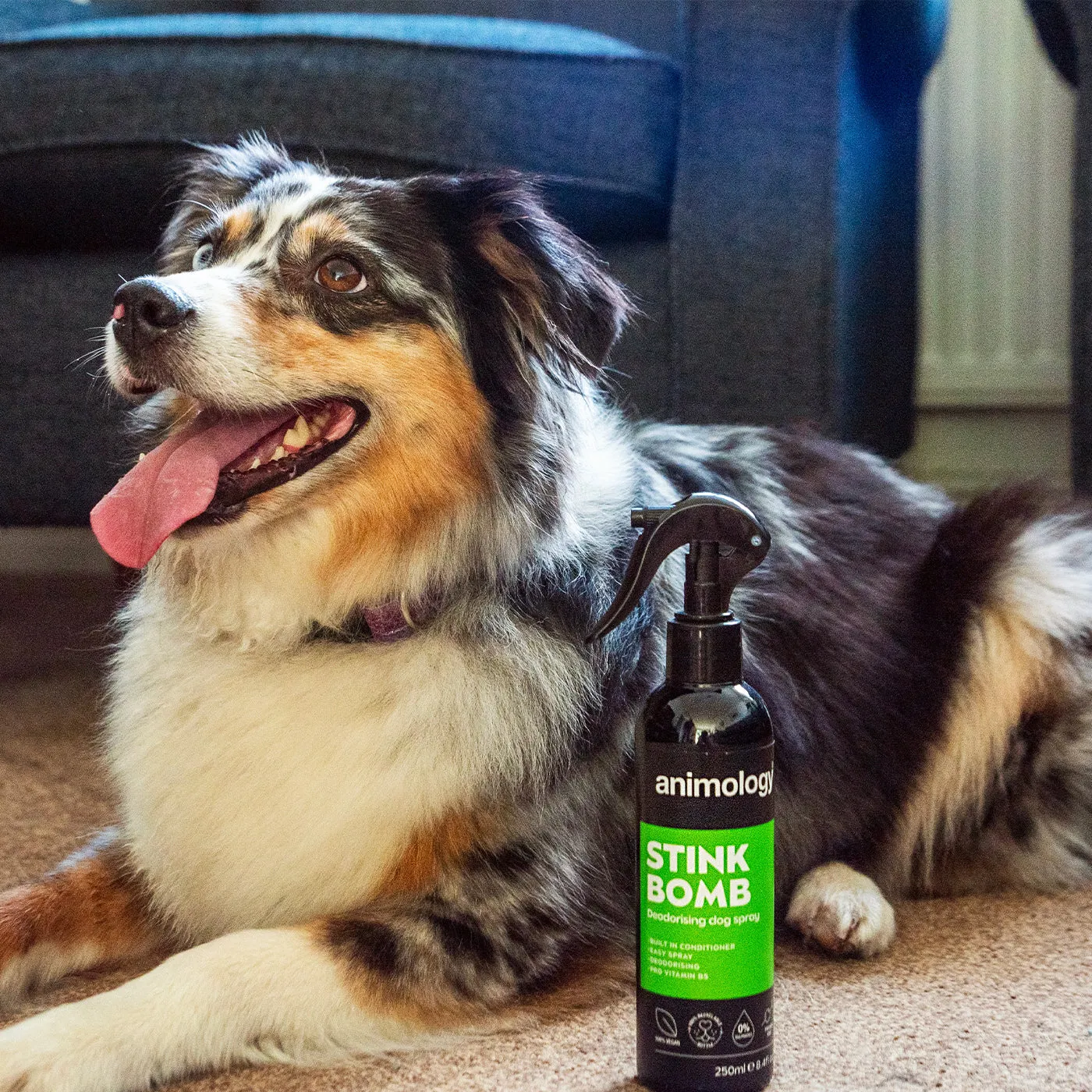 Animology Stink Bomb Deodorising Dog Spray