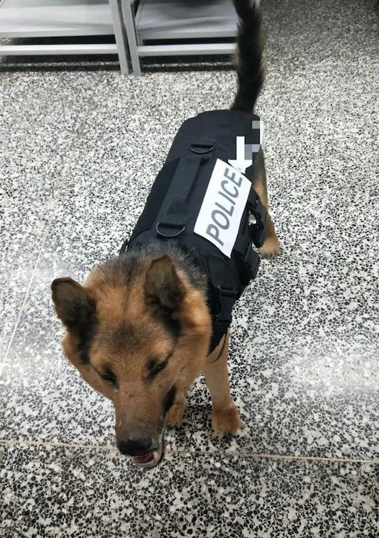 ExecDefense USA Dog Black (Canine / K9) Ballistic Vest (III-A)